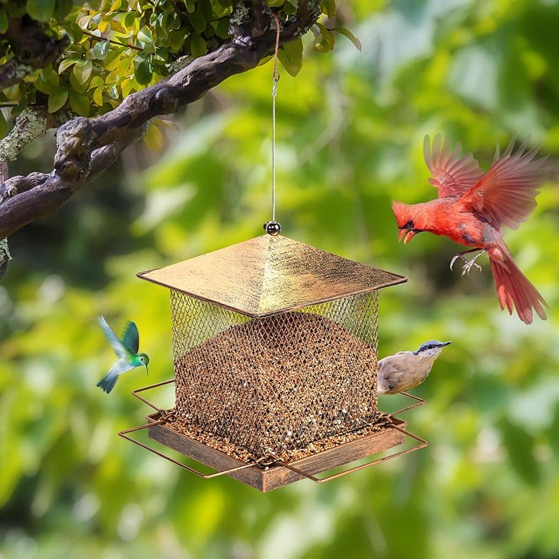 Bird feeder